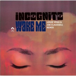 Incognito - wake me (louie...